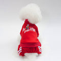 Pet Clothes Dog Clothes Autumn And Winter New Teddy Sweater