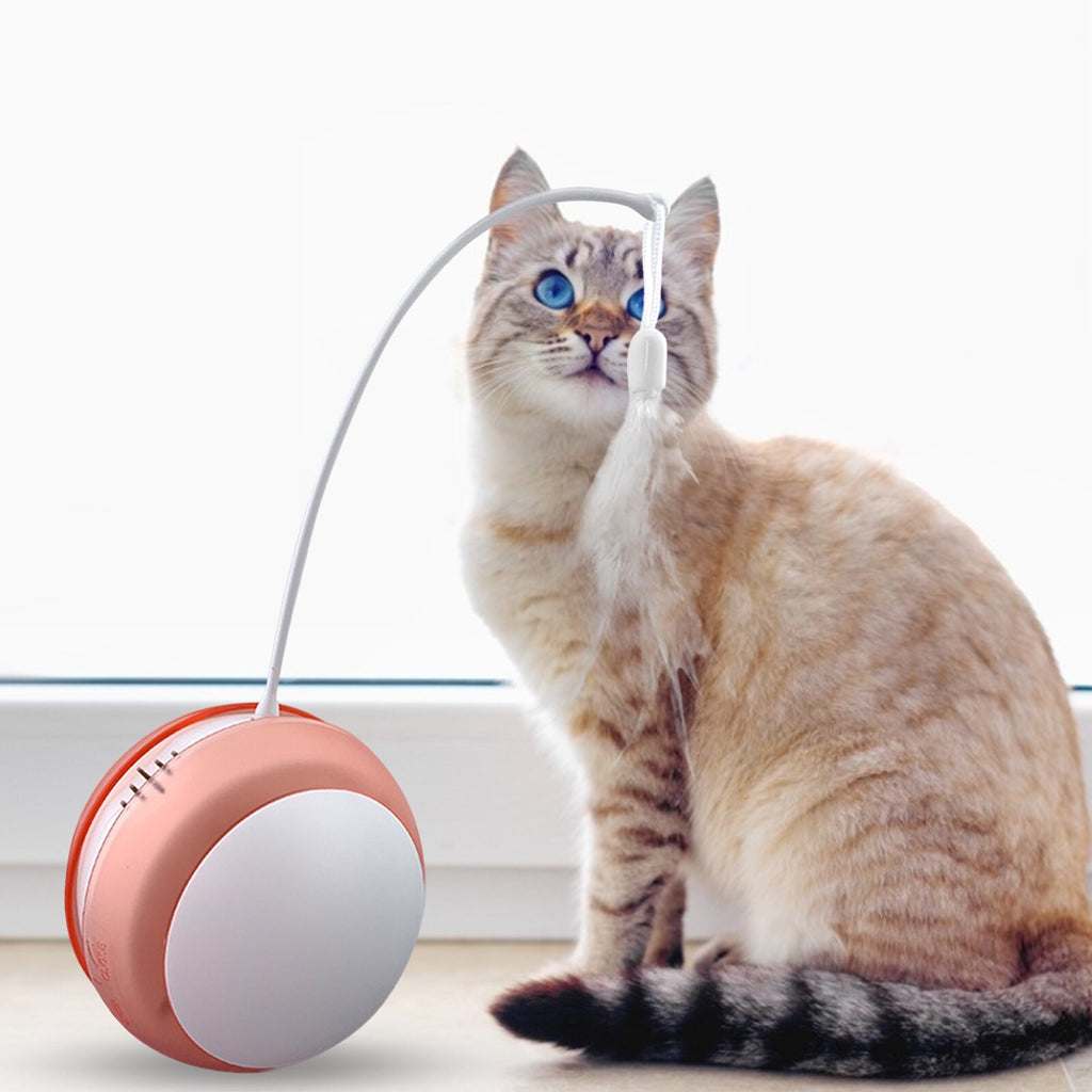 Funny Cat Toy Tumbler Swing Toys For Cats Kitten Interactive Balance Car Cat Chasing Toy Funny Sound And Light Feather Toy