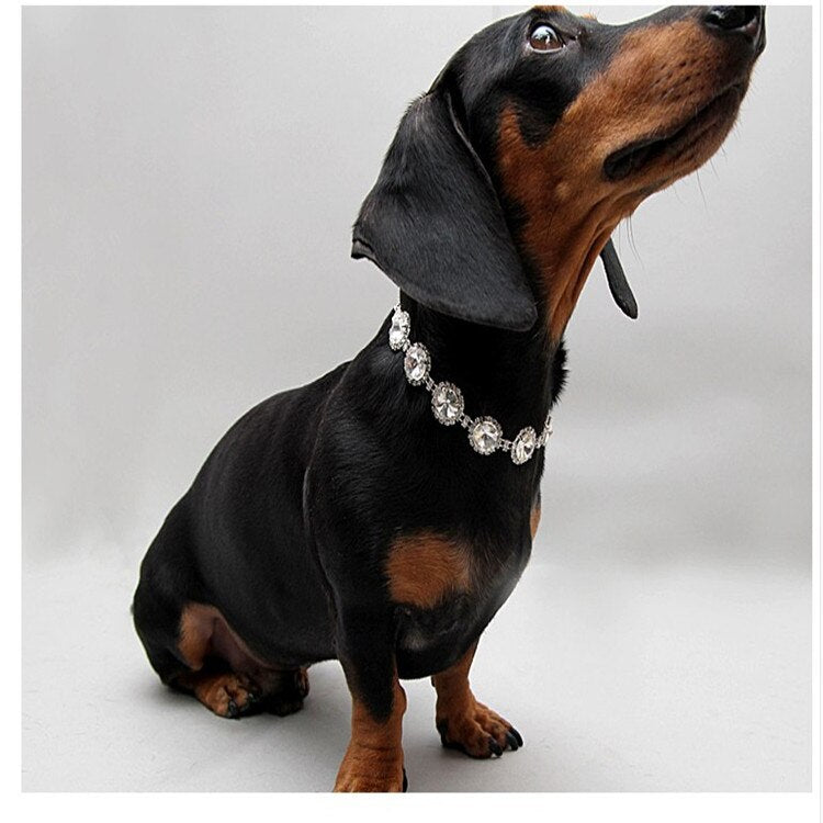 Pet Cat Collar Necklace Dog Collar Pearl Necklace Jewelry Pet Collar Pet Supplies Pet Supplies Dog Collar Gato Puppy Collar