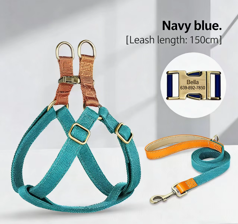Dog leash Dog chest back lettering Anti loss small dog Teddy chest strap medium-sized dog corgi vest dog rope