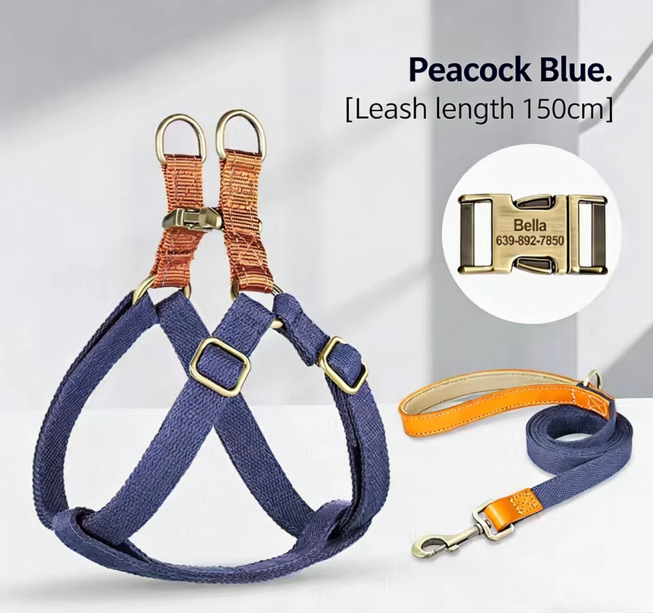 Dog leash Dog chest back lettering Anti loss small dog Teddy chest strap medium-sized dog corgi vest dog rope