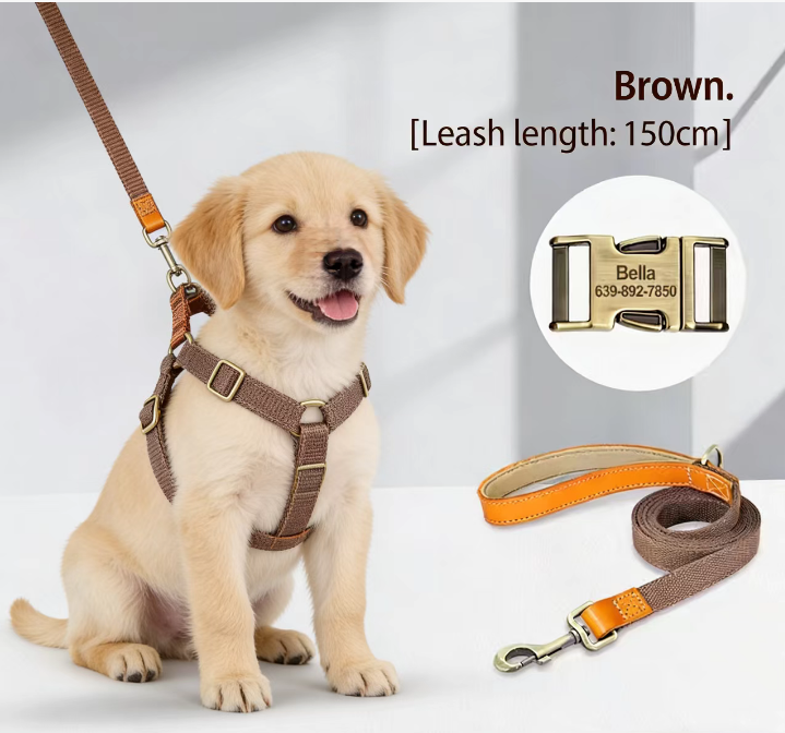 Dog leash Dog chest back lettering Anti loss small dog Teddy chest strap medium-sized dog corgi vest dog rope