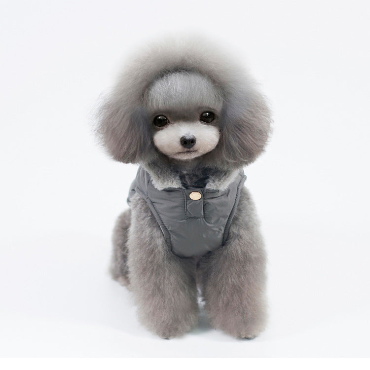 Warm Autumn And Winter Dog Clothes Teddy Cotton Clothes Two-Legged Clothes Hooded Clothes Pet Clothes