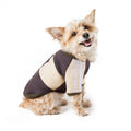 Dog Clothes Autumn And Winter Clothes Pet Clothes Sweater Teddy Clothes Hooded Cat Clothes   Fleece