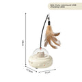 Smart Cat Toy Feather Teaser Stick Pet Toy